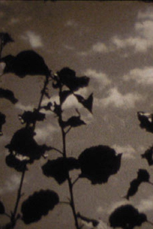 The Season's Change (1960) poster
