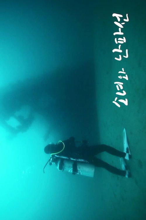 A Girl and a Shipwreck (2017) poster