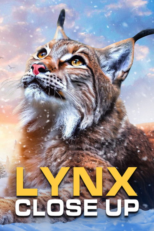 Lynx - Close Up (2019) poster