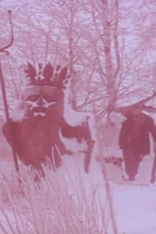 We’re out of the woods and songs (1979) poster