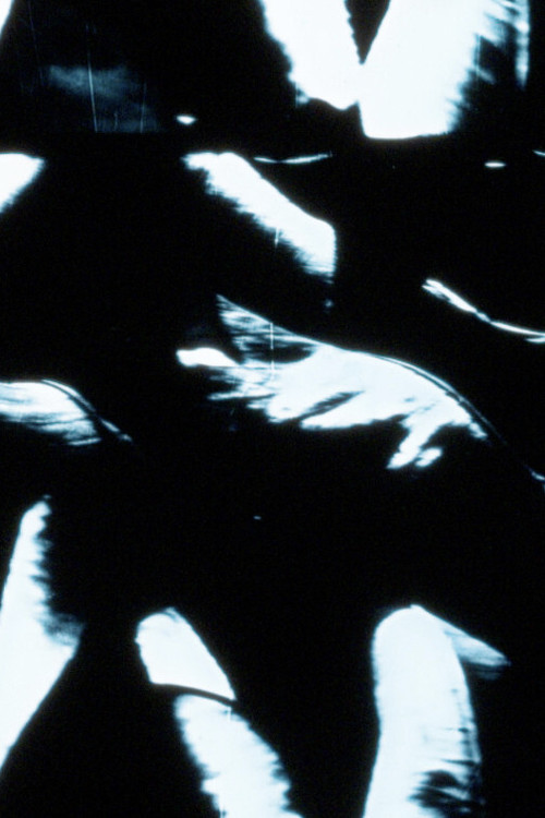 tulips are my father's favourite flower (2018) poster