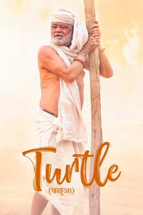 Turtle (2018) poster