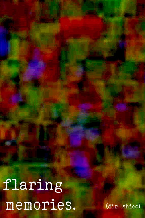 flaring memories. (2024) poster