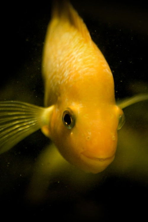 Taking Stock (2017) poster