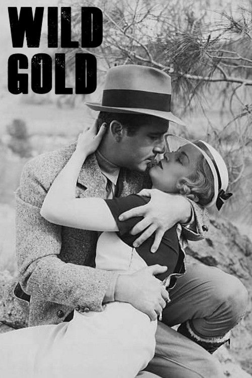 Wild Gold (1934) poster