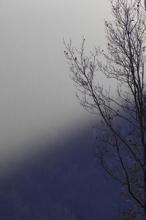 The Mirror (2009) poster