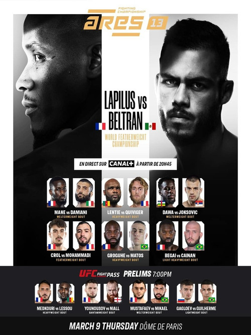 ARES 13 (2023) poster