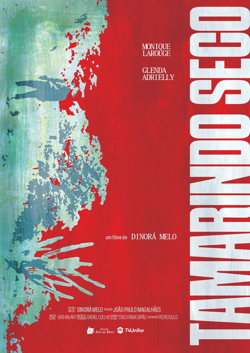 Tamarindo Seco (2024) poster