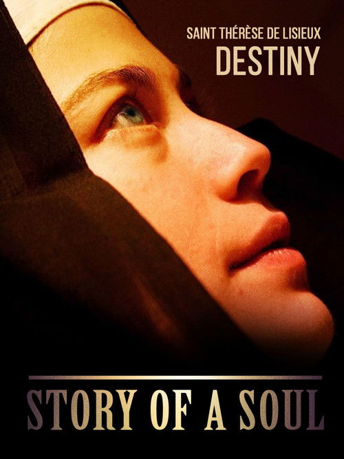 Story of a Soul poster
