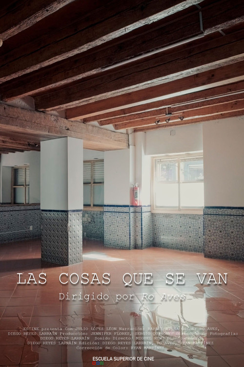 Las Cosas Que Se Van (2024) poster