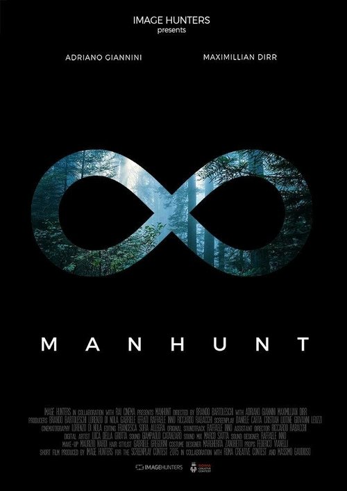 Manhunt (2016) poster