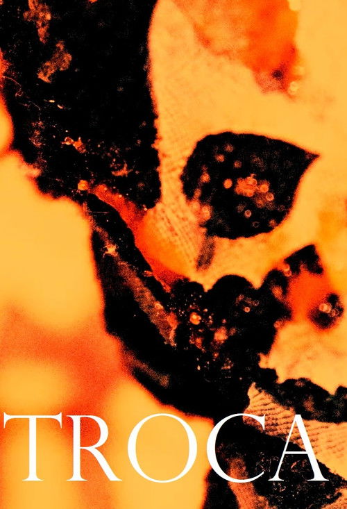Troca (2020) poster