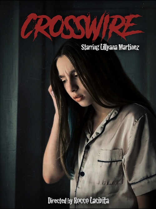 Crosswire (2026) poster