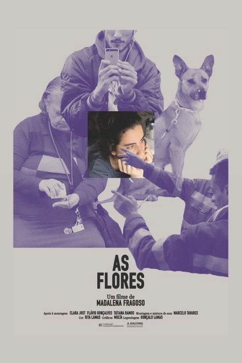 As Flores (2025) poster