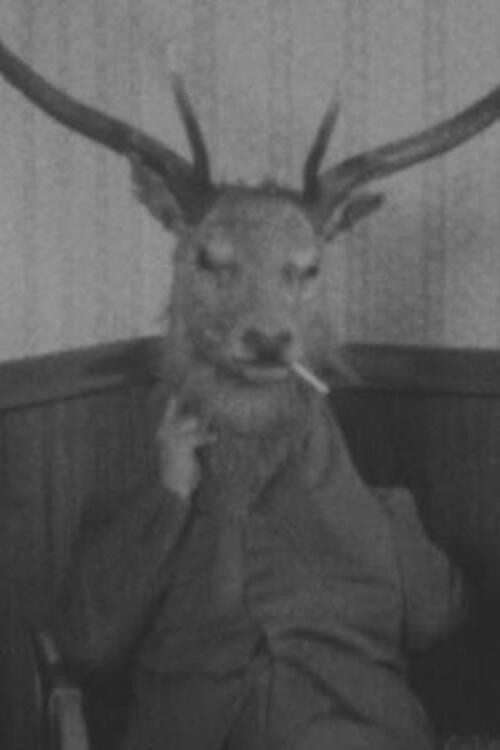 Pitlochry Welcomes You (1958) poster