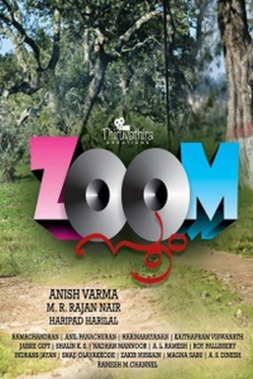 Zoom (2016) poster
