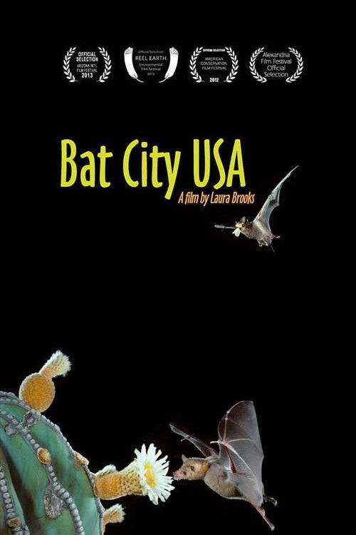 Bat City USA (2012) poster