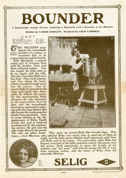 Bounder (1912) poster