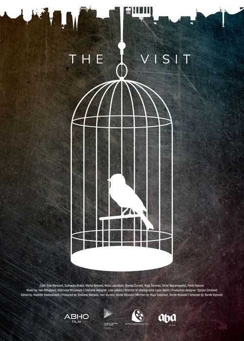 The Visit (2020) poster