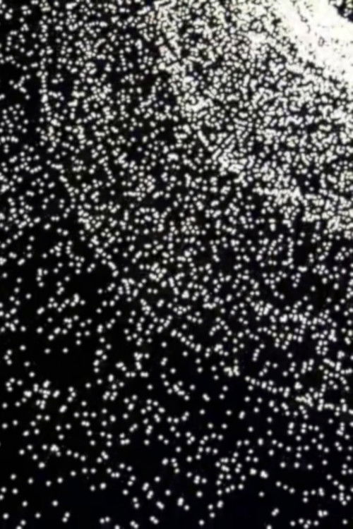 Ondée (2012) poster