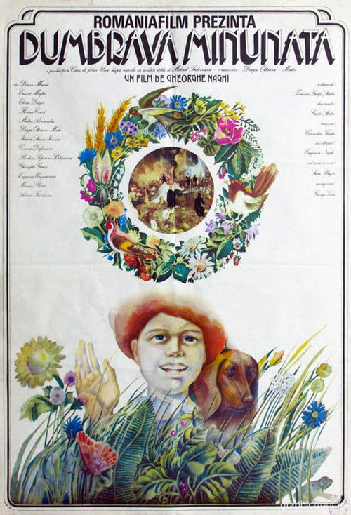 Dumbrava minunată (1980) poster