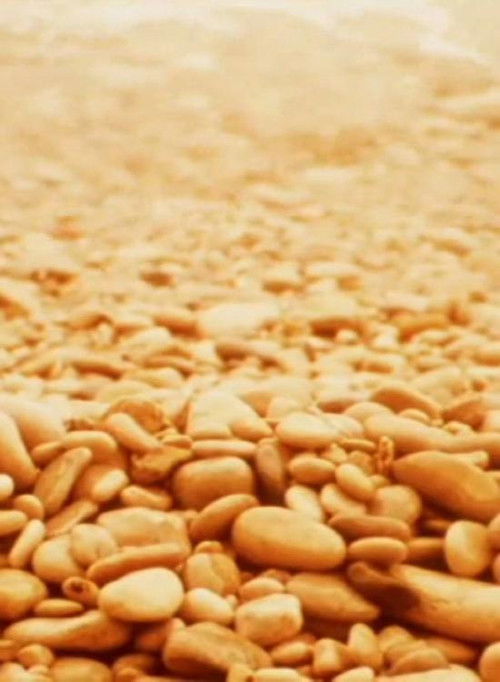 Notes for Jerome (1978) poster