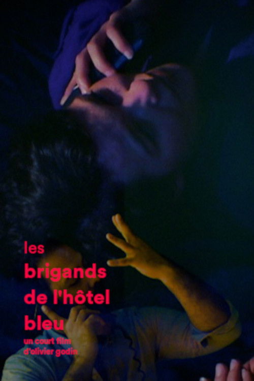 Les brigands de l'hôtel bleu (2015) poster