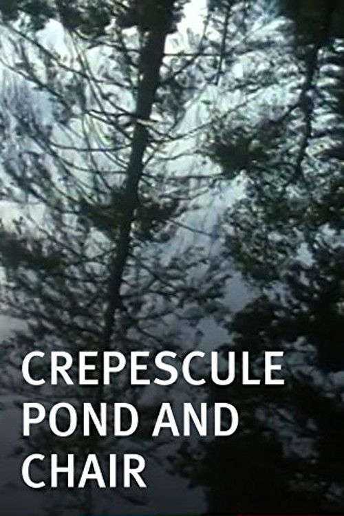 Crepescule Pond and Chair (2001) poster