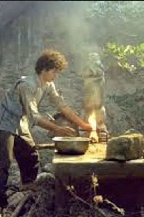 The Enchantress (1985) poster