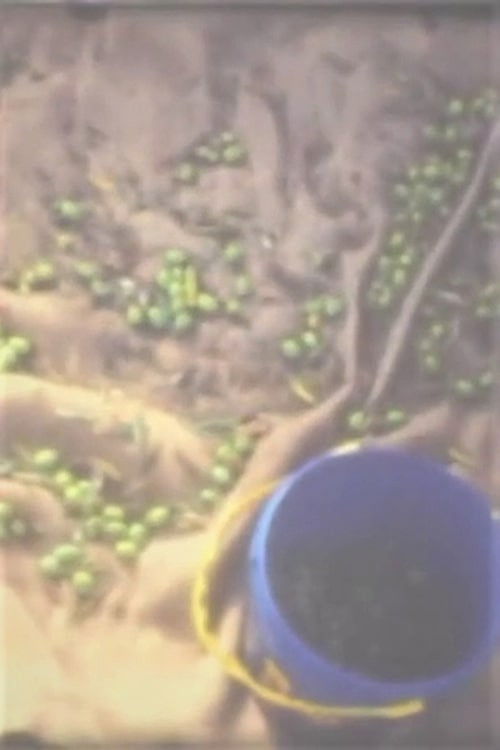 Out of Place (2005) poster