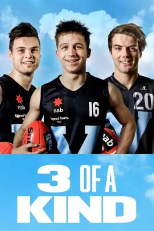 3 of a Kind (2014) poster