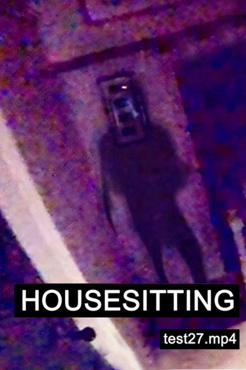 HOUSESITTING (2022) poster