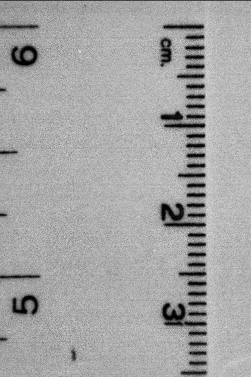 Under observation (2023) poster