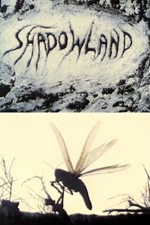 Shadowland (1988) poster