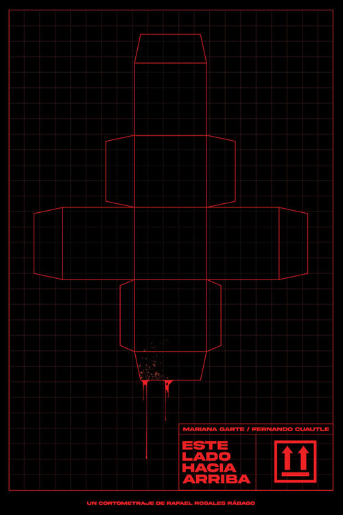 Este lado hacia arriba (2024) poster