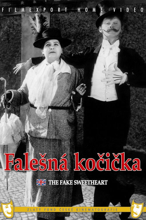 Falešná kočička (1926) poster