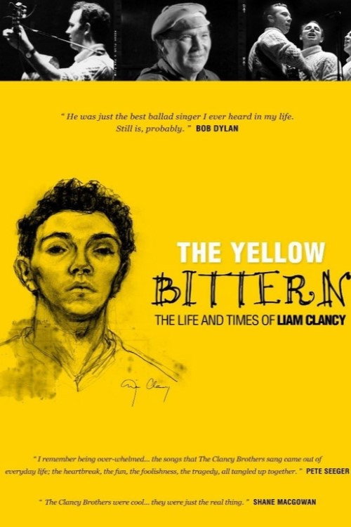 The Yellow Bittern poster