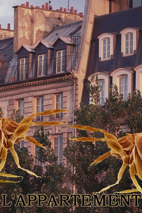 L'appartement poster