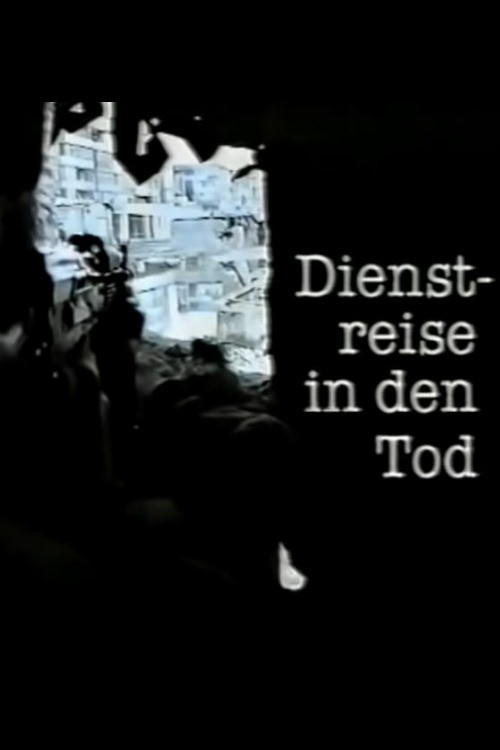 Business Trip to Death (1996) poster