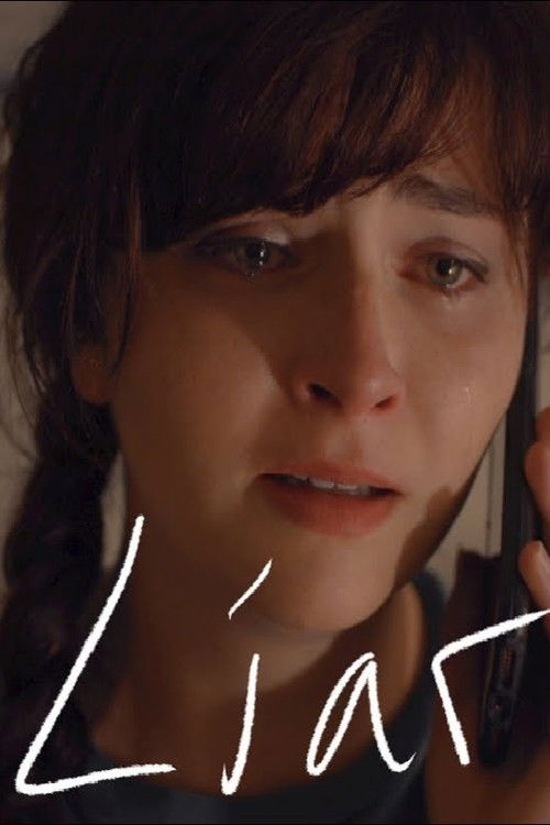 Liar (2021) poster