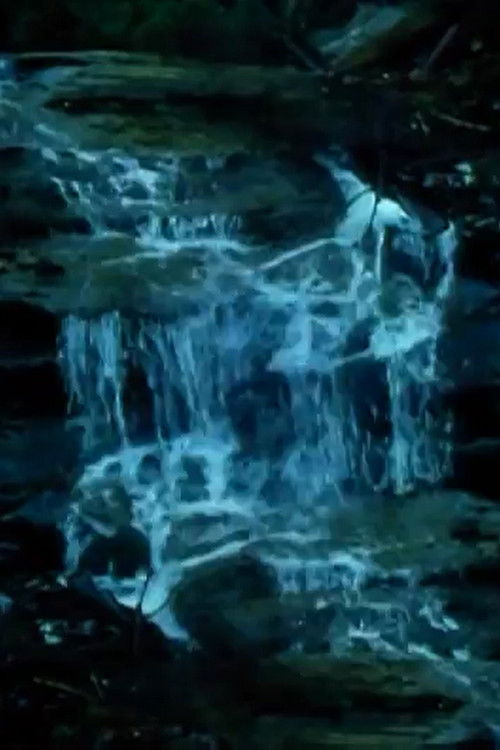 Capillary Action (1997) poster