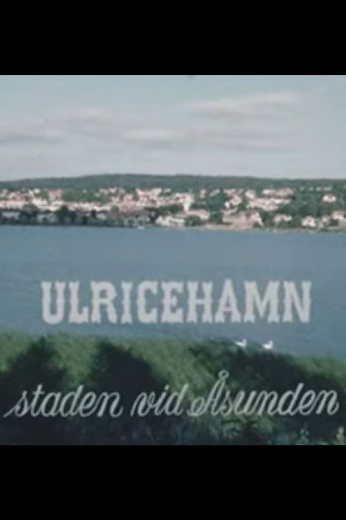 Ulricehamn, the town by Åsunden (1960) poster