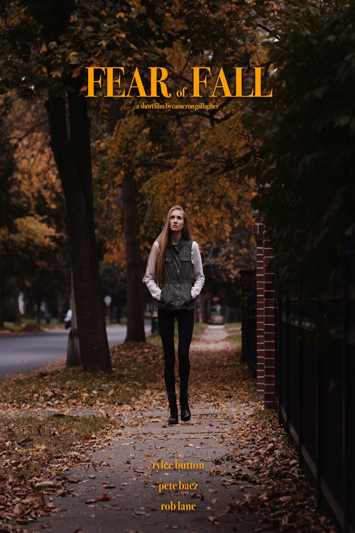 Fear of Fall (2019) poster
