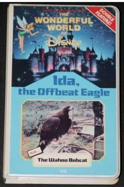 Ida, the Offbeat Eagle (1965) poster