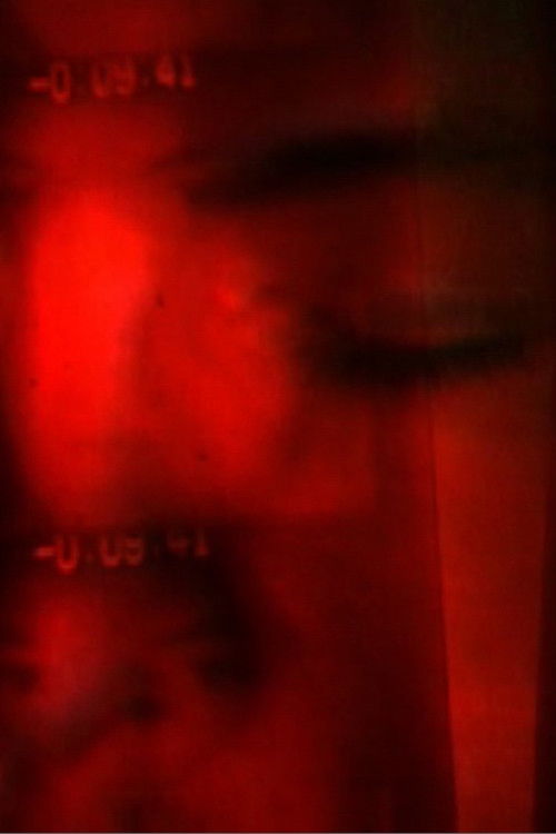 Sparklehorse (1999) poster