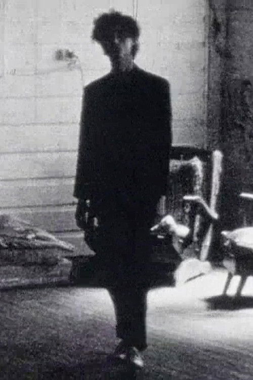 Deadpan (1985) poster