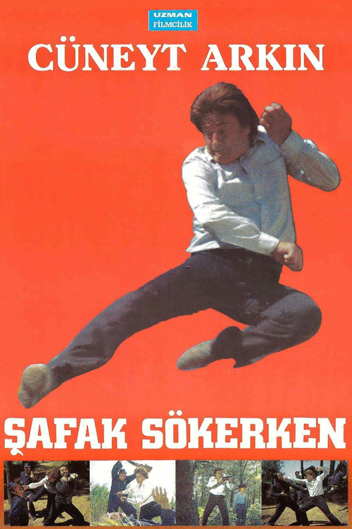 Şafak Sökerken (1988) poster
