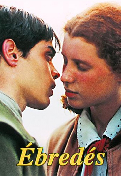 Awakening (1995) poster