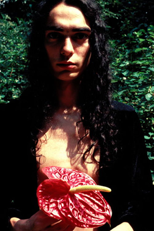 Sauro Bellini (1982) poster