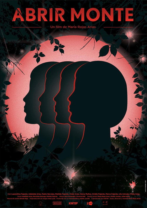 Open mountain (2021) poster